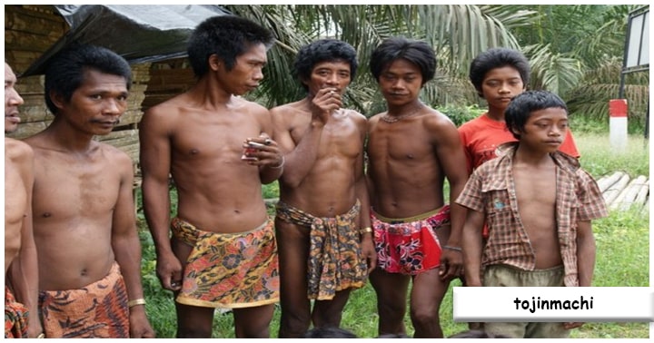 Asal Usul dan Sejarah Suku Kubu